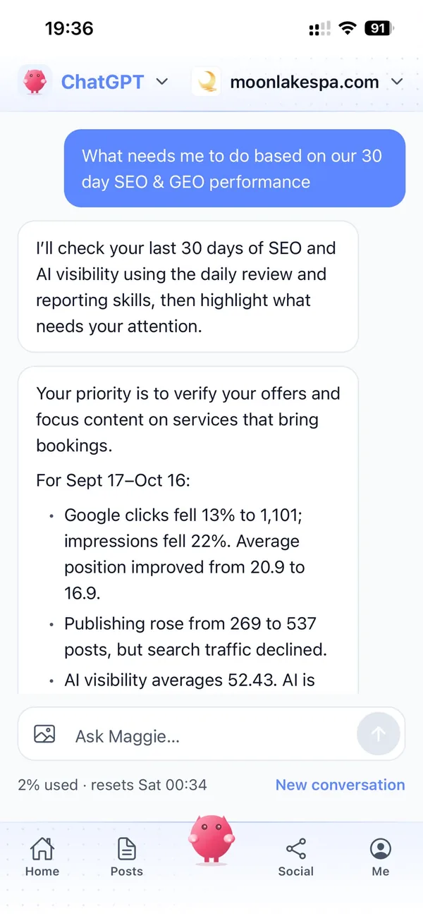 Ask Maggie: a chat where Maggie reviews 30 days of SEO and AI visibility