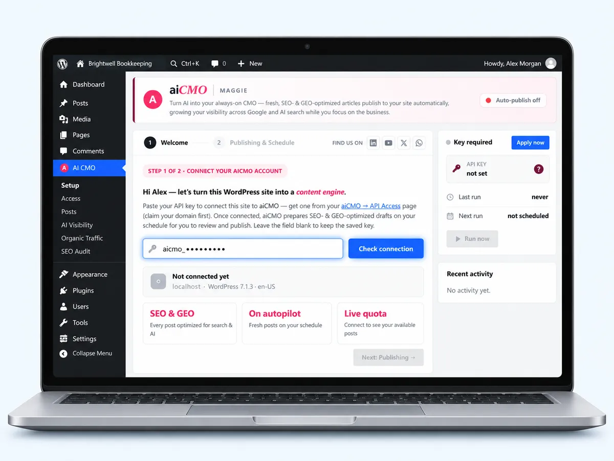 The AI CMO plugin Setup page with the key field and the Check connection button