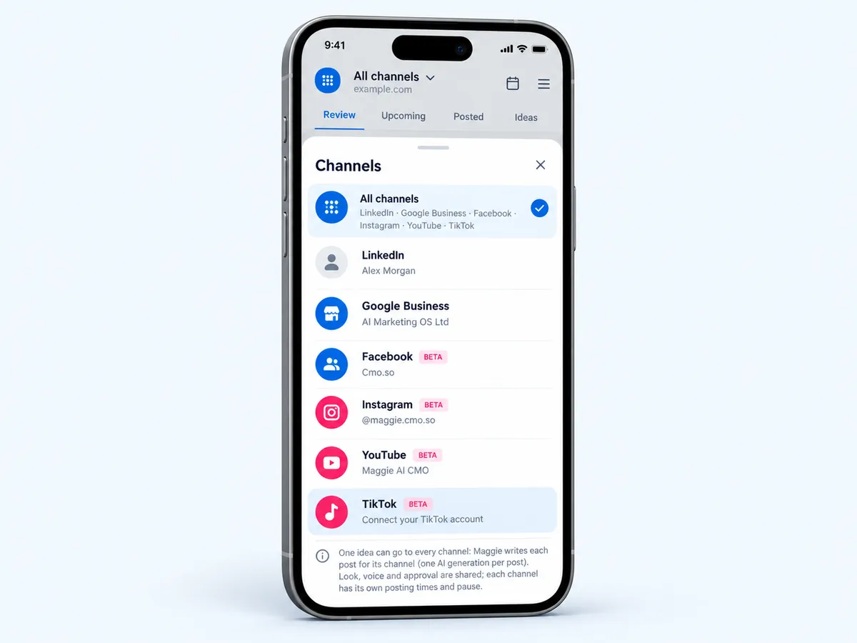 The Channels sheet with TikTok highlighted